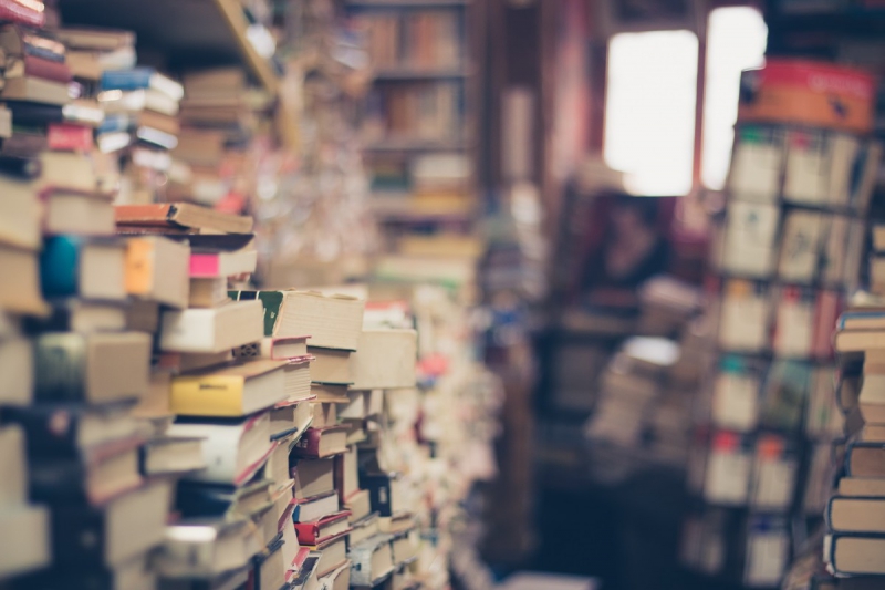 vente-LUCERAM-min_books_stack_book_store_stack_of_books_2nd_hand_retro_hipster_shop-829090
